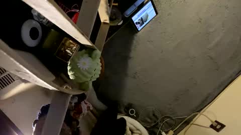 Snapshot of oyeblancki chatting on 01/03/25, 04:22 CoCreatorBlancki online show from 01/03/25, 04:22