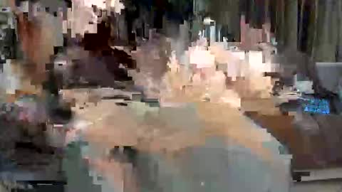 Paolo 187 84 online show from 05/24/26, 03:44