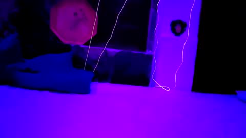 pablouyu online show from 12/22/24, 05:56