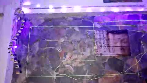 pablouyu online show from 01/01/25, 04:18