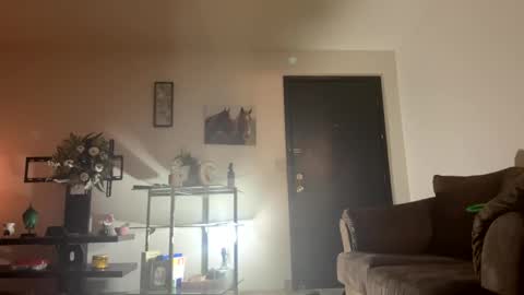 Snapshot of paigethekinkyone chatting on 12/17/24, 11:59 PrincessTsVivian online show from 12/17/24, 11:59