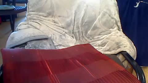 pajacamxxxs online show from 03/08/25, 11:27