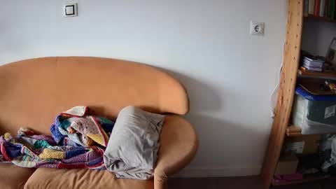 Pajarito lindo online show from 09/13/25, 12:38