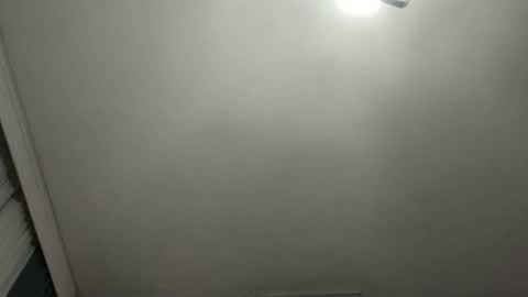 Snapshot of pala3441 chatting on 01/27/25, 02:31   PALA online show from 01/27/25, 02:31