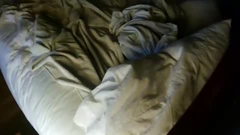 Snapshot of pale001zan chatting on 09/29/25, 08:08 pale001zan online show from 09/29/25, 08:08