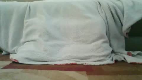Snapshot of palmerwoodx chatting on 02/02/26, 05:33 palmerwoodx online show from 02/02/26, 05:33
