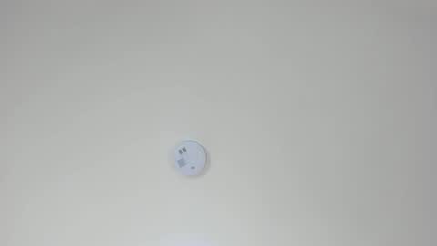 Snapshot of pamemiller chatting on 10/23/25, 02:33 PAMELA online show from 10/23/25, 02:33