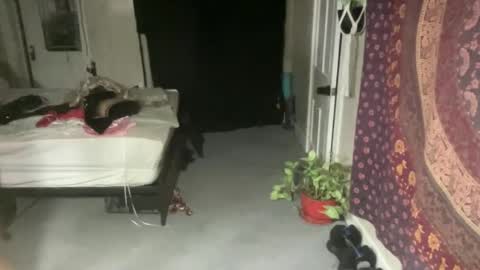 Snapshot of pantiesofthefae chatting on 02/21/25, 12:16 Pantiesofthefae online show from 02/21/25, 12:16