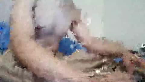 Snapshot of parejitafiel2309 chatting on 11/09/25, 08:18 parejitafiel2309 online show from 11/09/25, 08:18