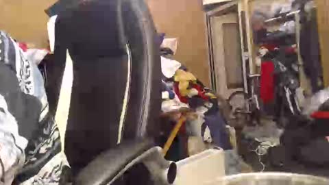 Snapshot of pascal88881 chatting on 12/02/24, 06:10 pascal88881 online show from 12/02/24, 06:10