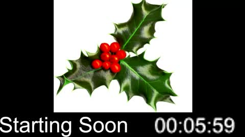 Snapshot of passion4fashion chatting on 12/25/24, 09:00 Passion4Fashion online show from 12/25/24, 09:00