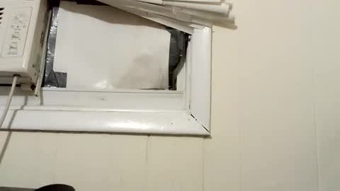 JD online show from 12/18/24, 02:32