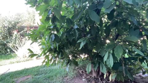 Snapshot of patry333 chatting on 09/23/25, 06:16 Andreea online show from 09/23/25, 06:16