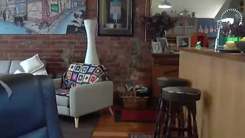 patvac online show from 11/08/25, 01:50