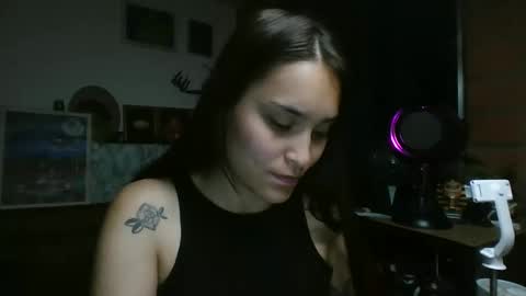 Snapshot of pau_cat chatting on 06/01/26, 07:10 Pau online show from 06/01/26, 07:10