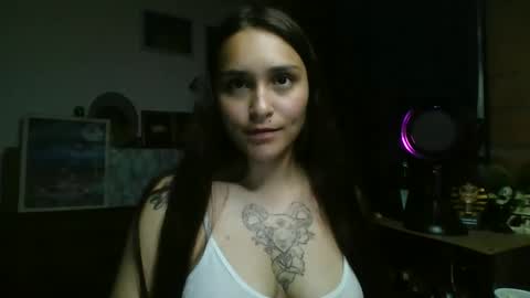 Snapshot of pau_cat chatting on 06/04/26, 05:57 Pau online show from 06/04/26, 05:57