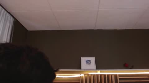 Snapshot of paul_evanss chatting on 11/13/25, 01:54 Paul online show from 11/13/25, 01:54