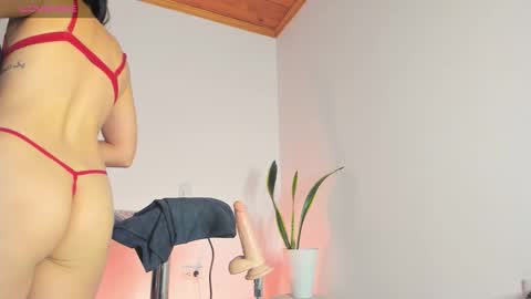 Paula perez - online show from 12/02/25, 10:42