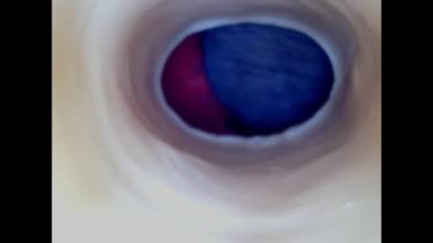 Paula 18 Aninhos online show from 01/18/25, 05:04