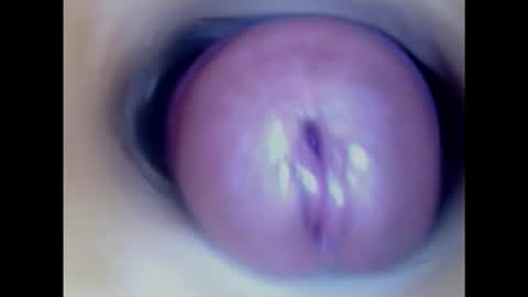 Paula 18 Aninhos online show from 01/23/25, 01:51