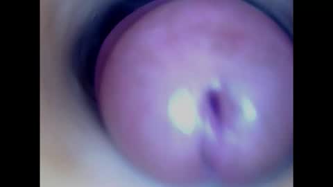 Paula 18 Aninhos online show from 01/29/25, 02:51