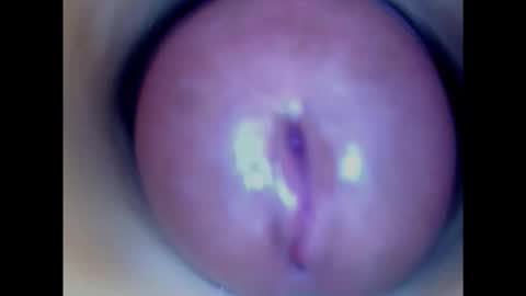 Paula 18 Aninhos online show from 01/29/25, 08:56