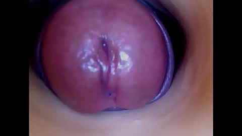 Paula 18 Aninhos online show from 11/20/25, 07:30