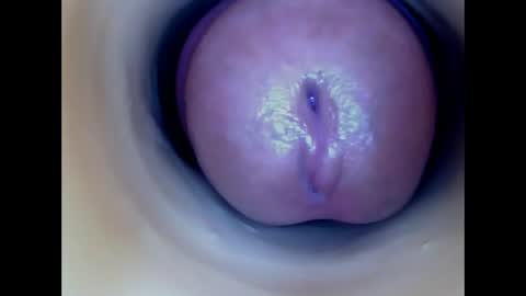 Paula 18 Aninhos online show from 04/28/26, 10:04