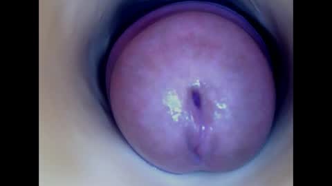 Paula 18 Aninhos online show from 06/03/26, 12:24