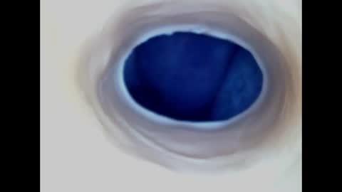 Paula 18 Aninhos online show from 06/14/26, 02:24