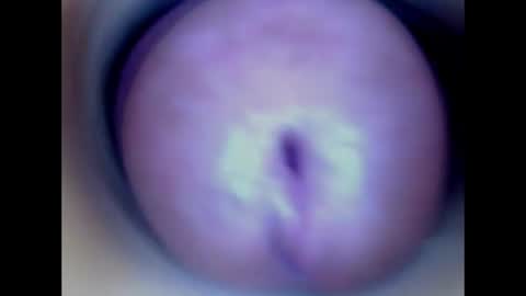 Paula 18 Aninhos online show from 06/16/26, 01:30
