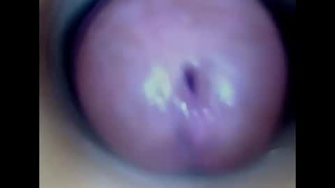 Paula 18 Aninhos online show from 07/13/26, 02:09