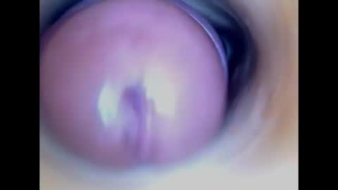 Paula 18 Aninhos online show from 07/20/26, 02:48