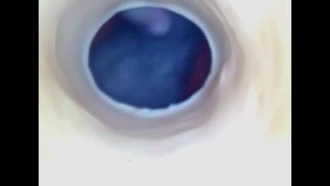Paula 18 Aninhos online show from 07/21/26, 06:54