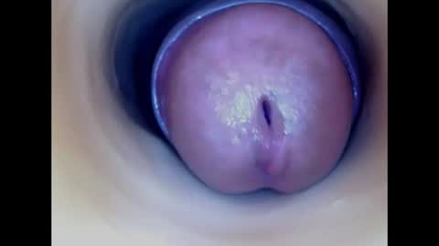 Paula 18 Aninhos online show from 07/26/26, 02:31