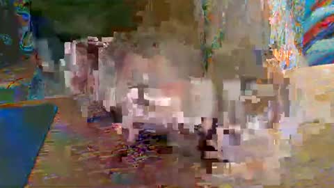 paulleroy online show from 12/19/24, 05:08