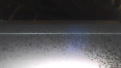 Snapshot of paulstetson chatting on 12/26/24, 08:00 paulstetson online show from 12/26/24, 08:00