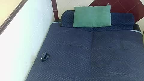 Snapshot of paupam chatting on 10/20/25, 06:52 paupam online show from 10/20/25, 06:52