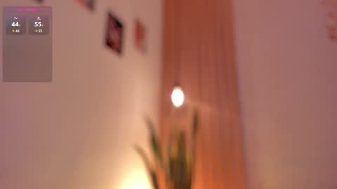 Dani online show from 06/19/26, 01:48