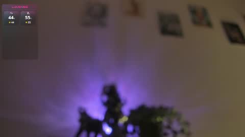 Dani online show from 07/31/26, 12:15