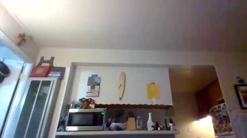 pawgkiller online show from 10/11/25, 02:33