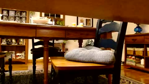 peecocktail online show from 10/13/25, 05:07