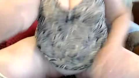 PeggySoft online show from 06/12/26, 07:40