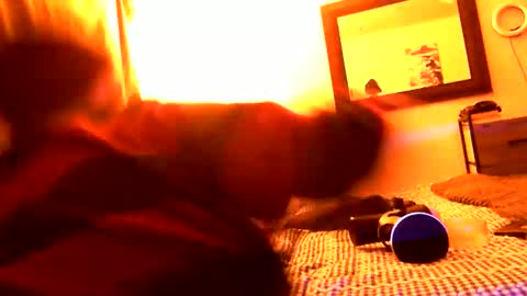 Snapshot of pennyfrance69 chatting on 02/23/25, 10:28 Penny France online show from 02/23/25, 10:28