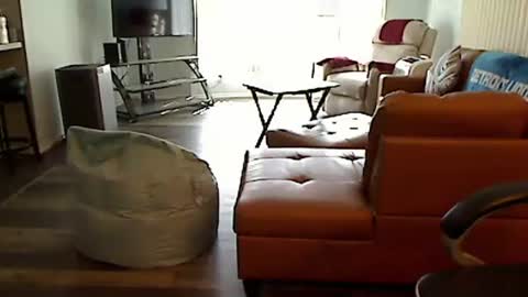 Snapshot of perfecto1957 chatting on 10/10/25, 05:56 perfecto1957 online show from 10/10/25, 05:56