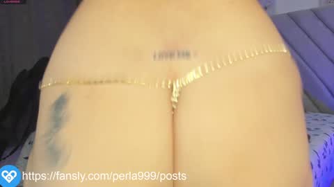 Snapshot of perla999 chatting on 12/24/24, 06:33 perla999 online show from 12/24/24, 06:33