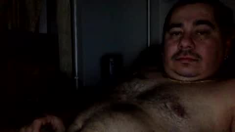 perro2010joshua online show from 01/08/25, 12:28