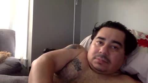 perro2010joshua online show from 01/11/25, 03:52