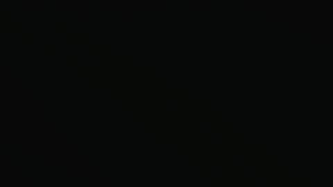 pestexx online show from 12/23/24, 06:48