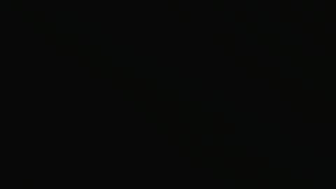 pestexx online show from 12/26/24, 04:25